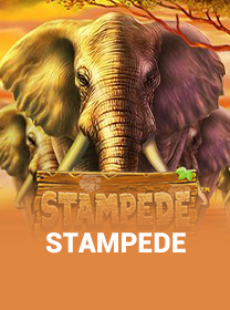 Stampede Slot: RTP Tinggi dan Volatilitas Rendah — ikon game