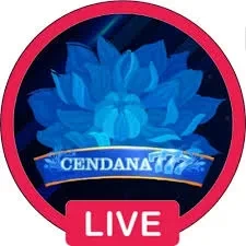 cendana777 Terbaru: Review Aplikasi dan Link Unduh APK Resmi — ikon aplikasi